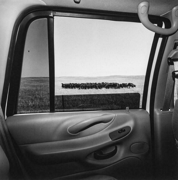 Lee Friedlander - Nebraska, USA (1999)