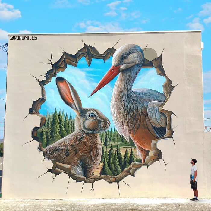 Wait Till You See These Mind-Blowing Wall Makeovers by Nuno Miles!