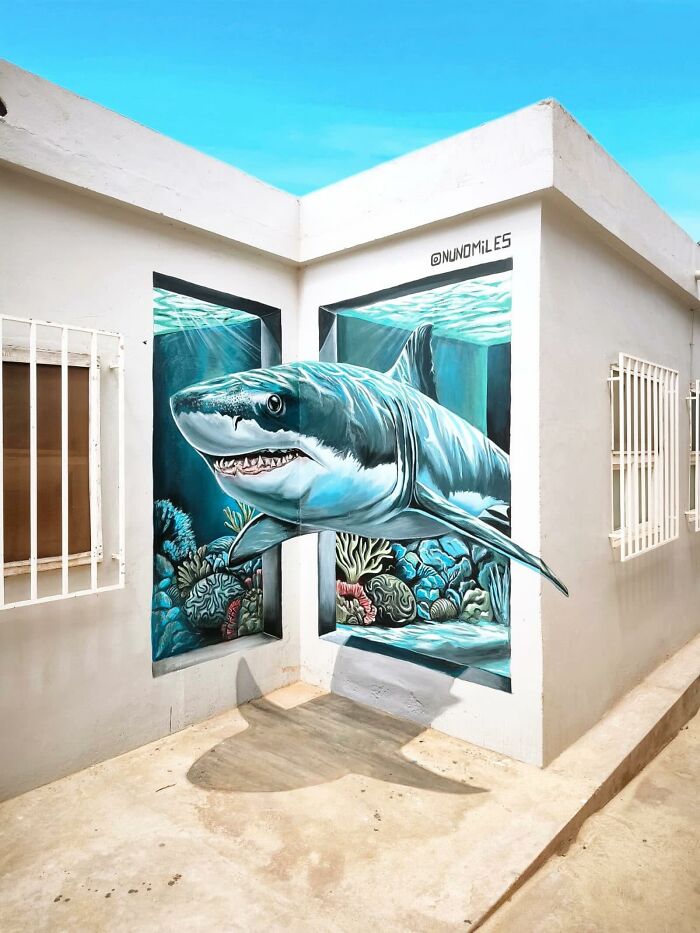 Wait Till You See These Mind-Blowing Wall Makeovers by Nuno Miles!