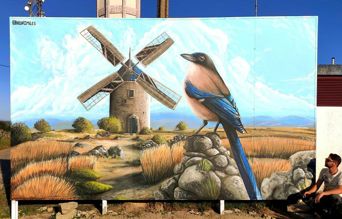Wait Till You See These Mind-Blowing Wall Makeovers by Nuno Miles!