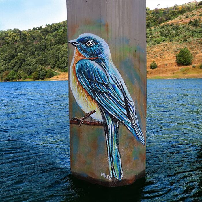 Wait Till You See These Mind-Blowing Wall Makeovers by Nuno Miles!