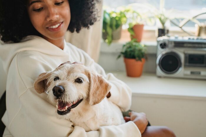 Why Do Dogs Freak Out and Give You the Best Welcome Ever After Being Gone a Minute?