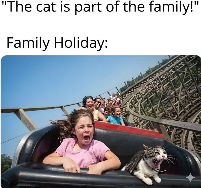 Get Ready to LOL at These 36 Cat Memes You'll Totally Recognize