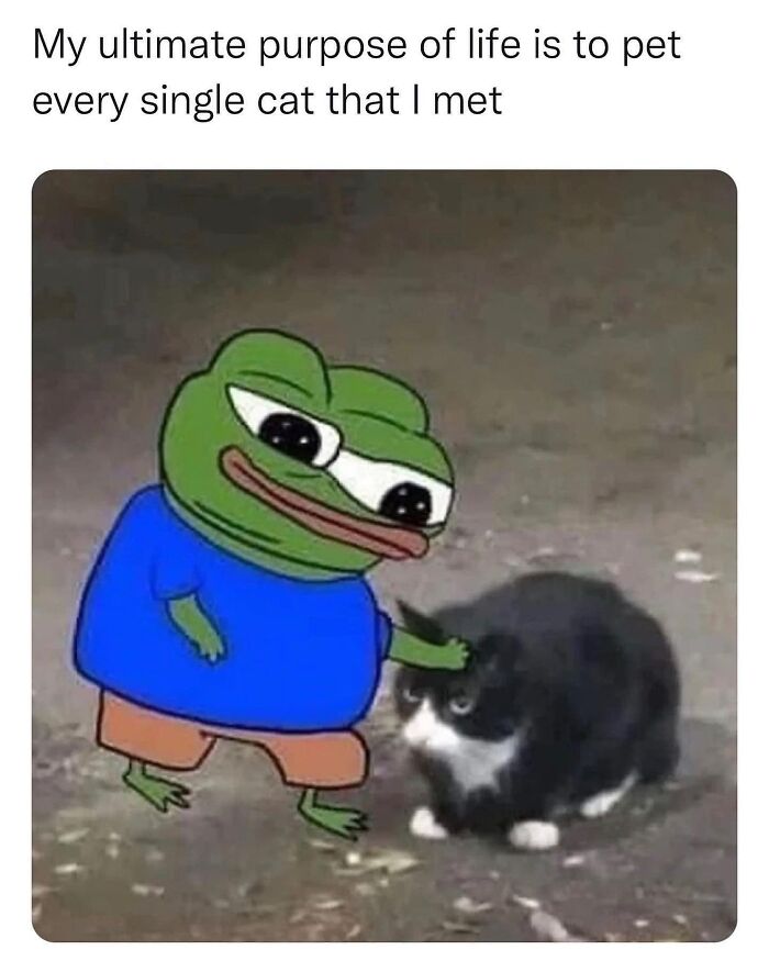 Get Ready to LOL at These 36 Cat Memes You'll Totally Recognize