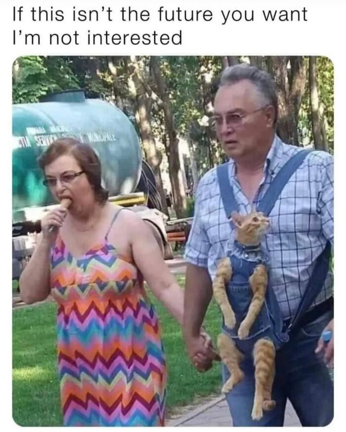 Get Ready to LOL at These 36 Cat Memes You'll Totally Recognize
