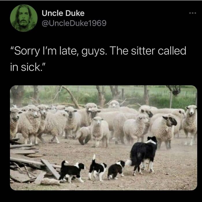 The Hilariously Honest Truth About Parenting (In Memes!)
