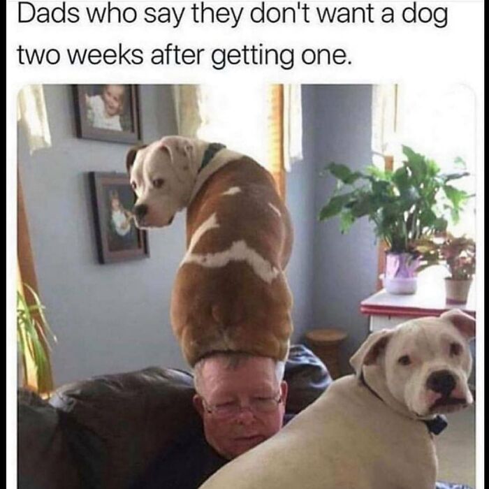 The Hilariously Honest Truth About Parenting (In Memes!)