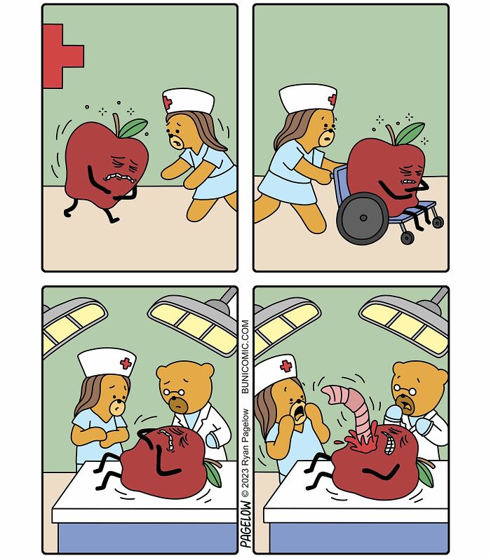 Wait, These Bears Totally Flip Everyday Logic in Comics! 40 Pics of Pure Weirdness