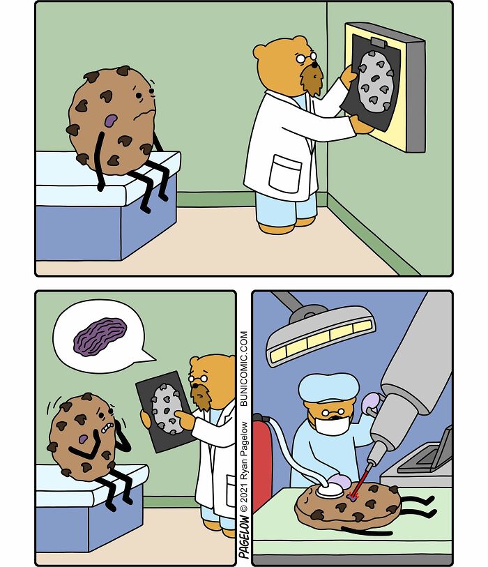 Wait, These Bears Totally Flip Everyday Logic in Comics! 40 Pics of Pure Weirdness