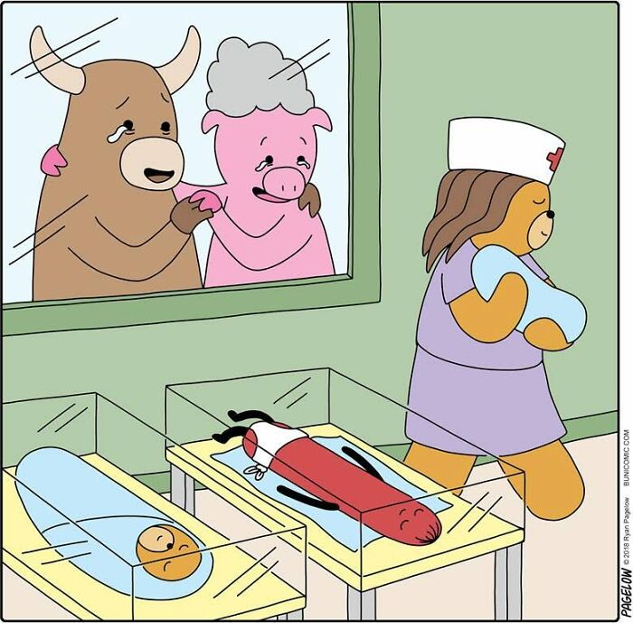 Wait, These Bears Totally Flip Everyday Logic in Comics! 40 Pics of Pure Weirdness