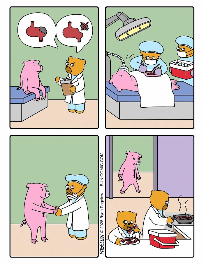 Wait, These Bears Totally Flip Everyday Logic in Comics! 40 Pics of Pure Weirdness