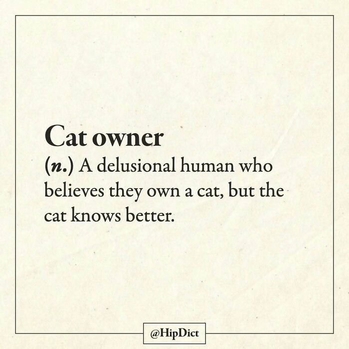 Wait, They Actually Redescribed These Words? Hilarious New Dictionary Pics!