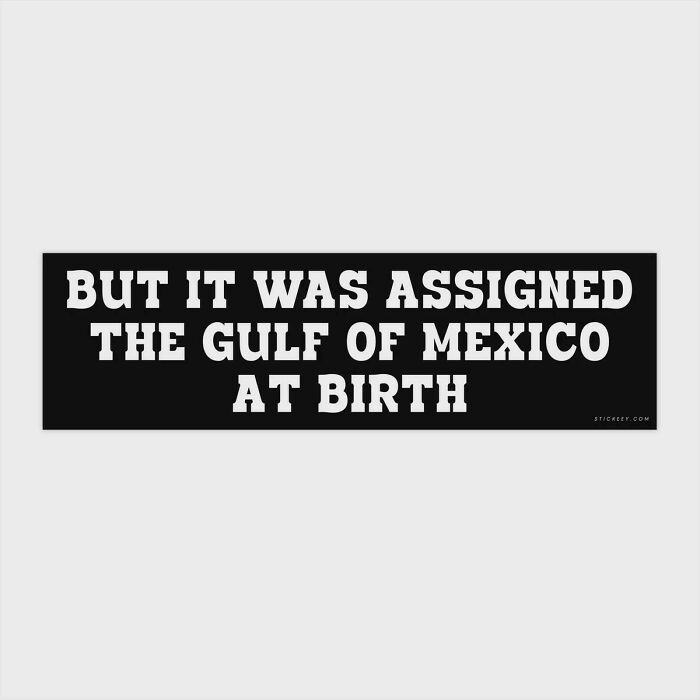 New Bumper Sticker, Who Dis?