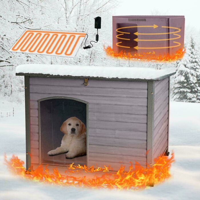 This Amazon Pic For A Dog House Heater? What Were They Thinking?