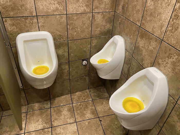 Which One Do You Pick? Trick Question, Neither!