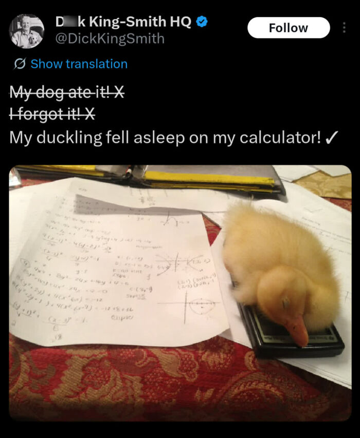 These Internet Finds Are So Wholesome, They’ll Totally Fix Your Day