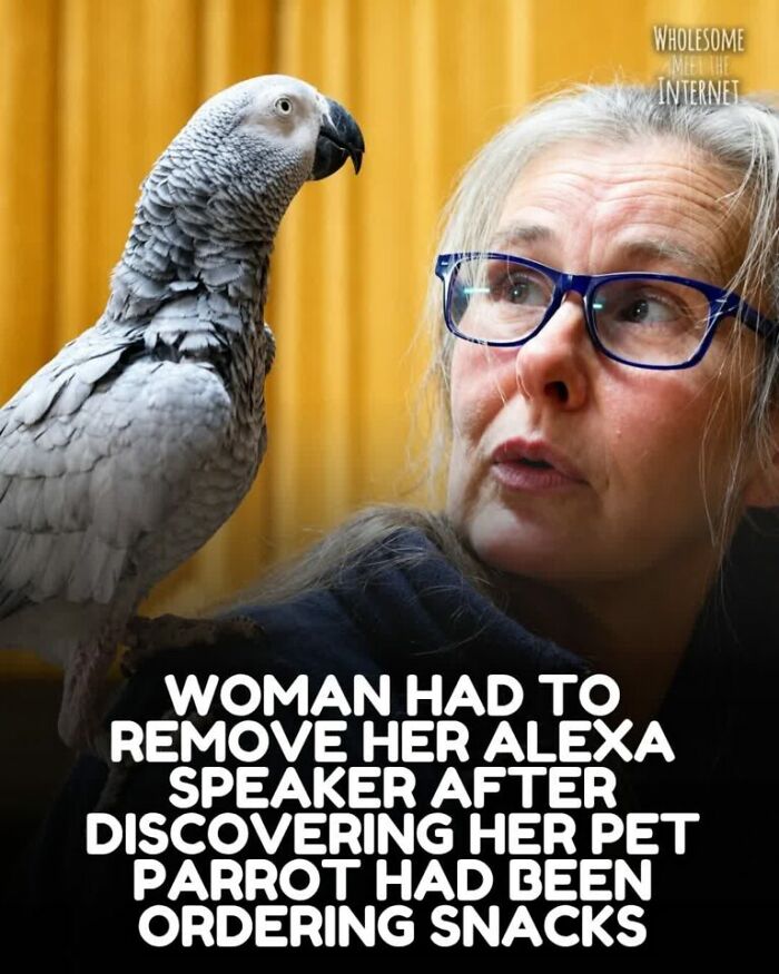 These Internet Finds Are So Wholesome, They’ll Totally Fix Your Day