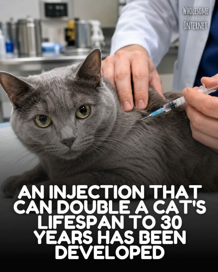 These Internet Finds Are So Wholesome, They’ll Totally Fix Your Day