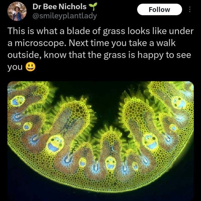 These Internet Finds Are So Wholesome, They’ll Totally Fix Your Day