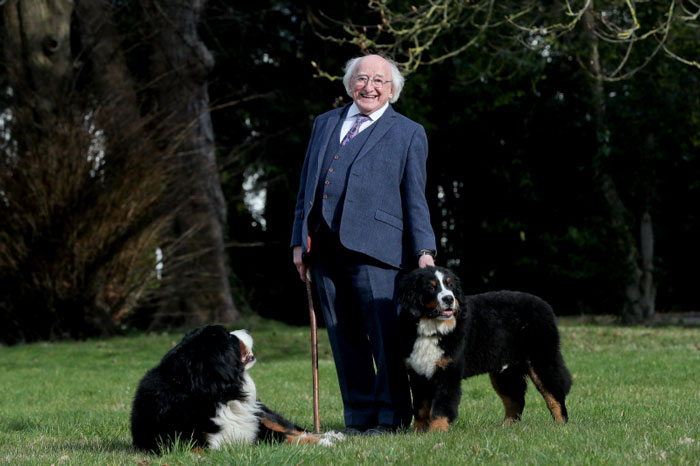 President Michael D. Higgins Looking All Warm and Fuzzy