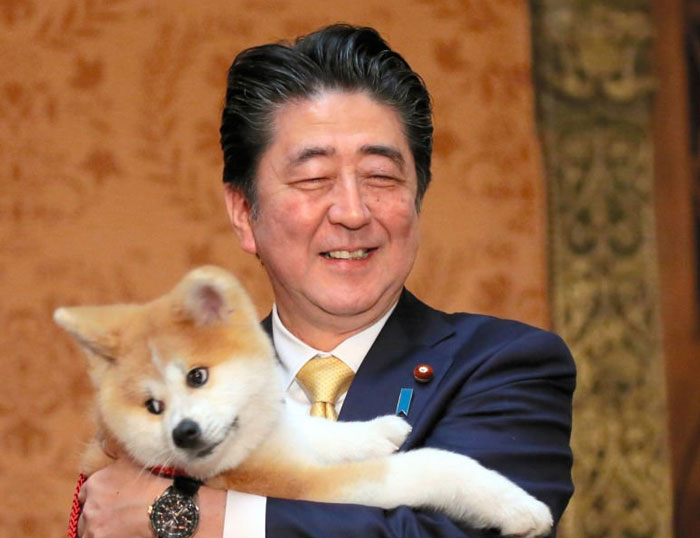 Japanese PM Shinzo Abe Cuddling 'Masaru' the Akita Inu—Maximum Cuteness