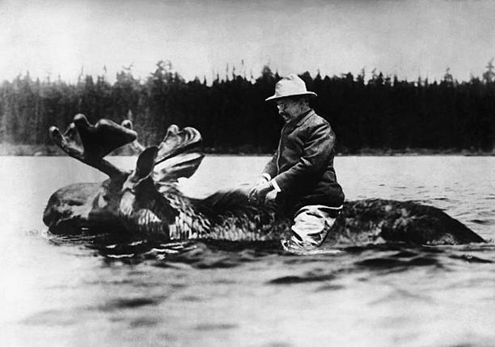 Theodore Roosevelt and the Almost-Real Moose Ride