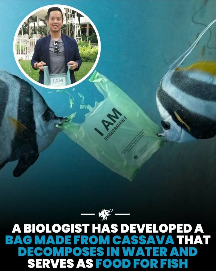 Wait, They Actually Shared These Crazy Ocean Facts?!