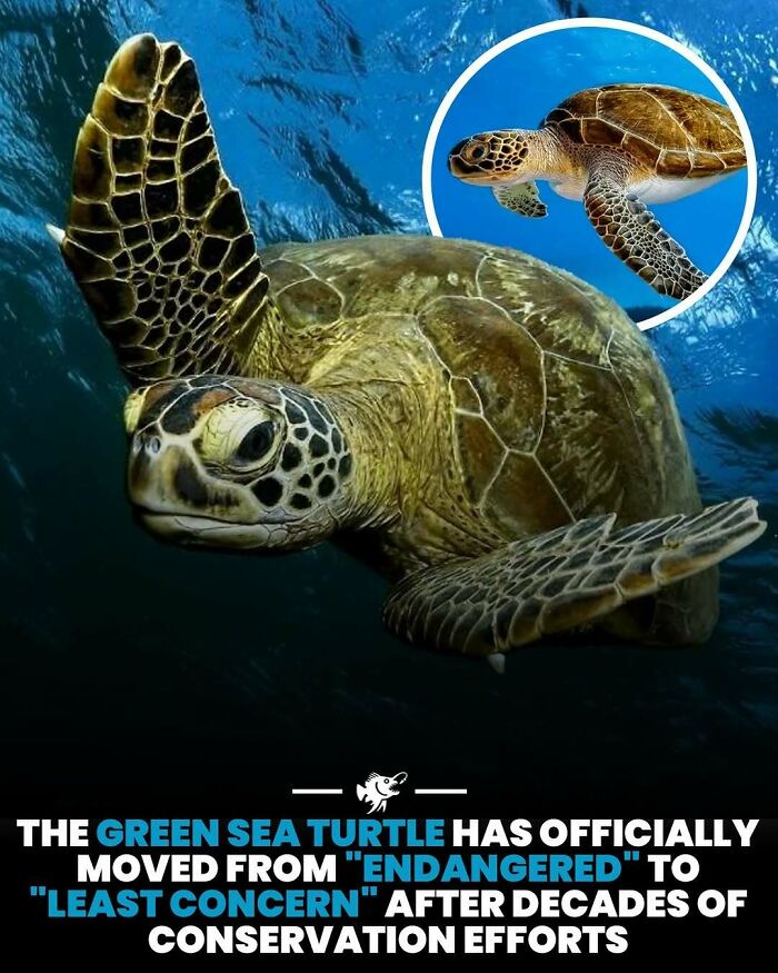 Wait, They Actually Shared These Crazy Ocean Facts?!