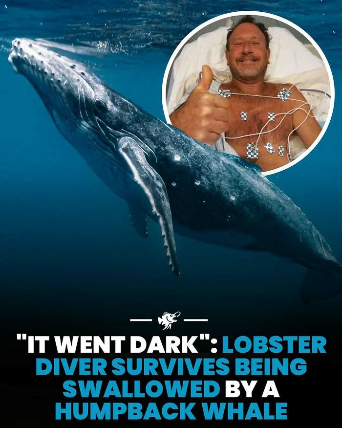 Wait, They Actually Shared These Crazy Ocean Facts?!