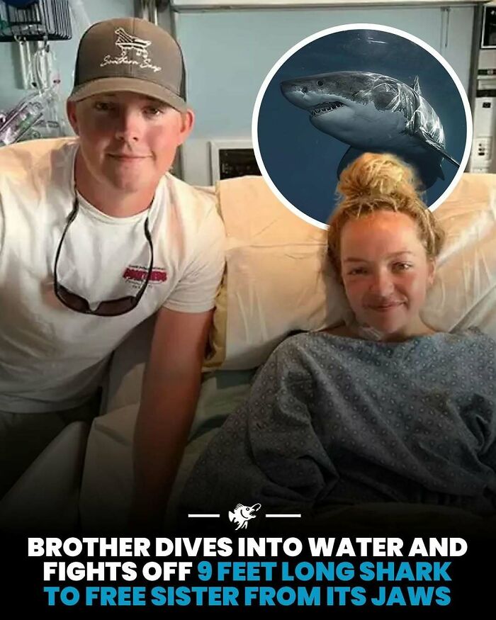 Wait, They Actually Shared These Crazy Ocean Facts?!