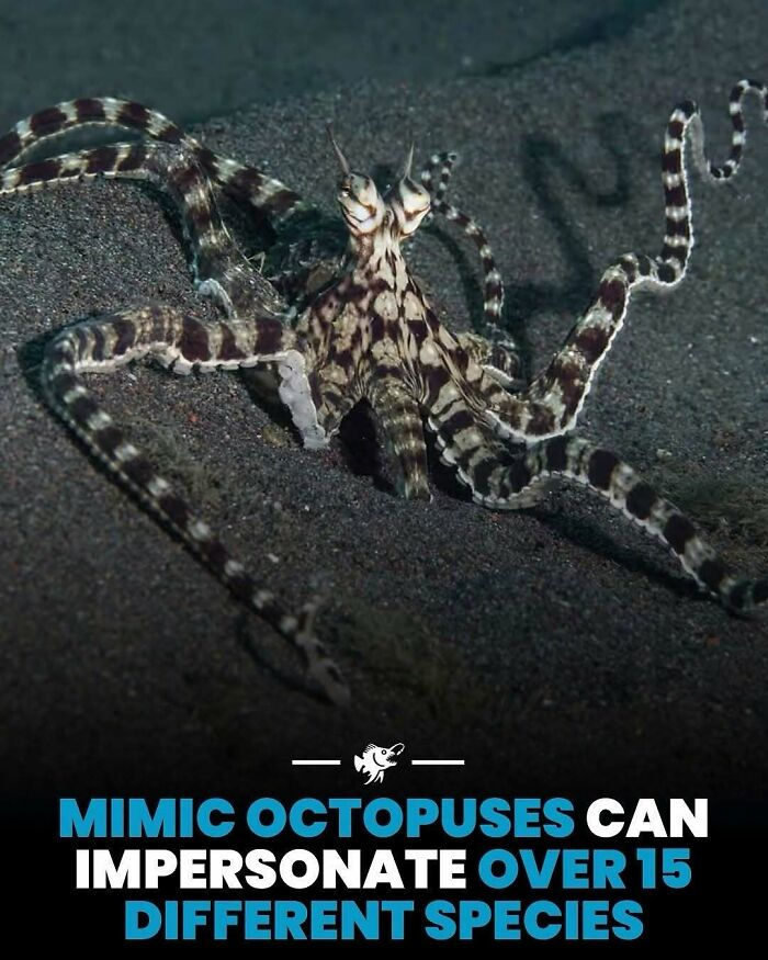 Wait, They Actually Shared These Crazy Ocean Facts?!