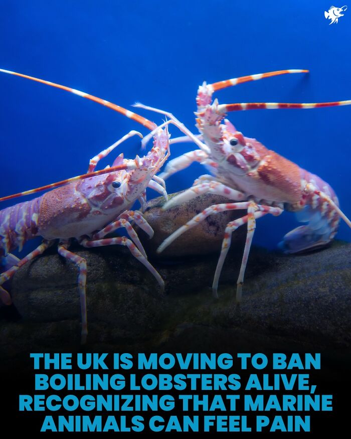 Wait, They Actually Shared These Crazy Ocean Facts?!