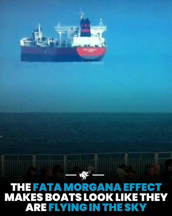 Wait, They Actually Shared These Crazy Ocean Facts?!