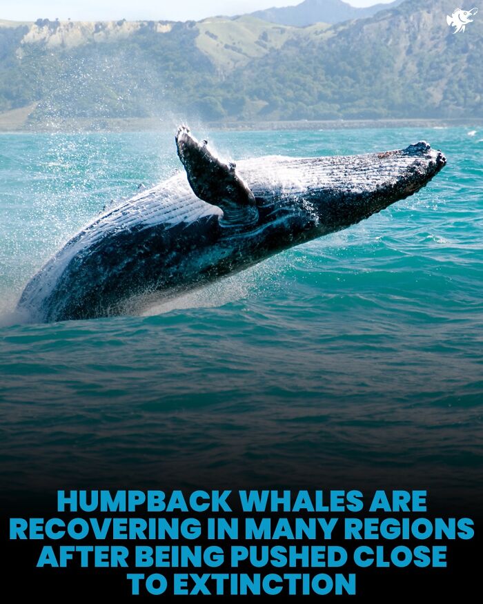 Wait, They Actually Shared These Crazy Ocean Facts?!