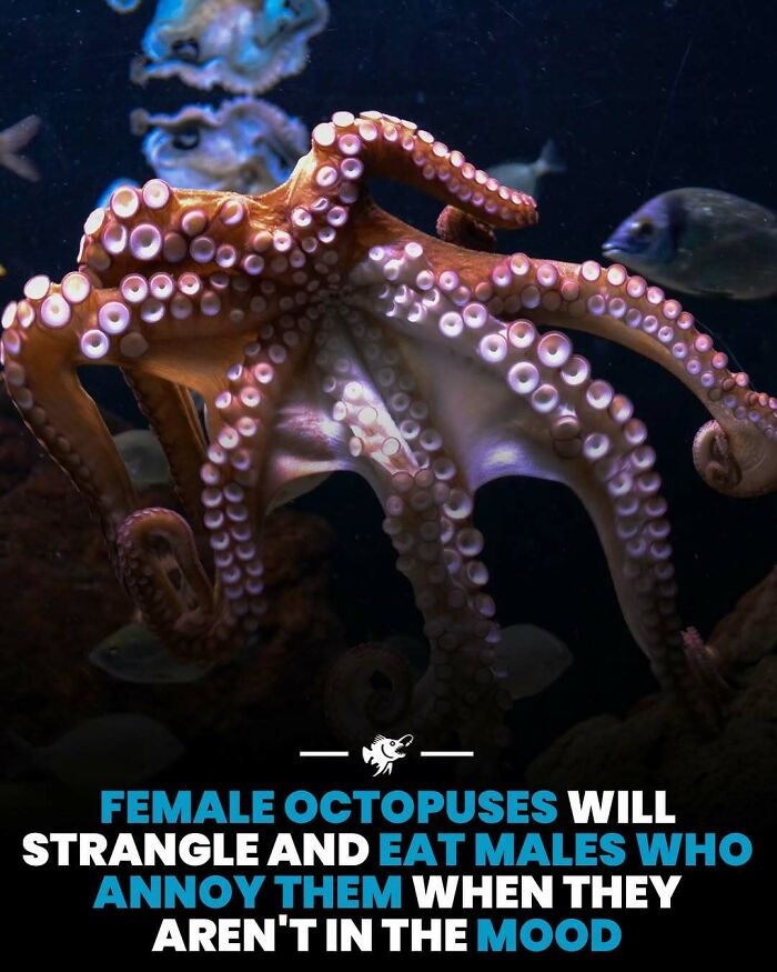 Wait, They Actually Shared These Crazy Ocean Facts?!
