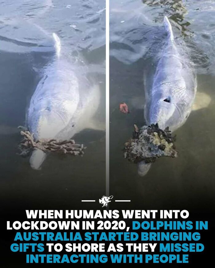 Wait, They Actually Shared These Crazy Ocean Facts?!