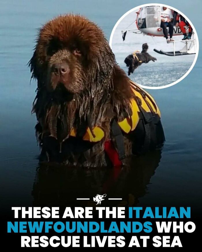 Wait, They Actually Shared These Crazy Ocean Facts?!