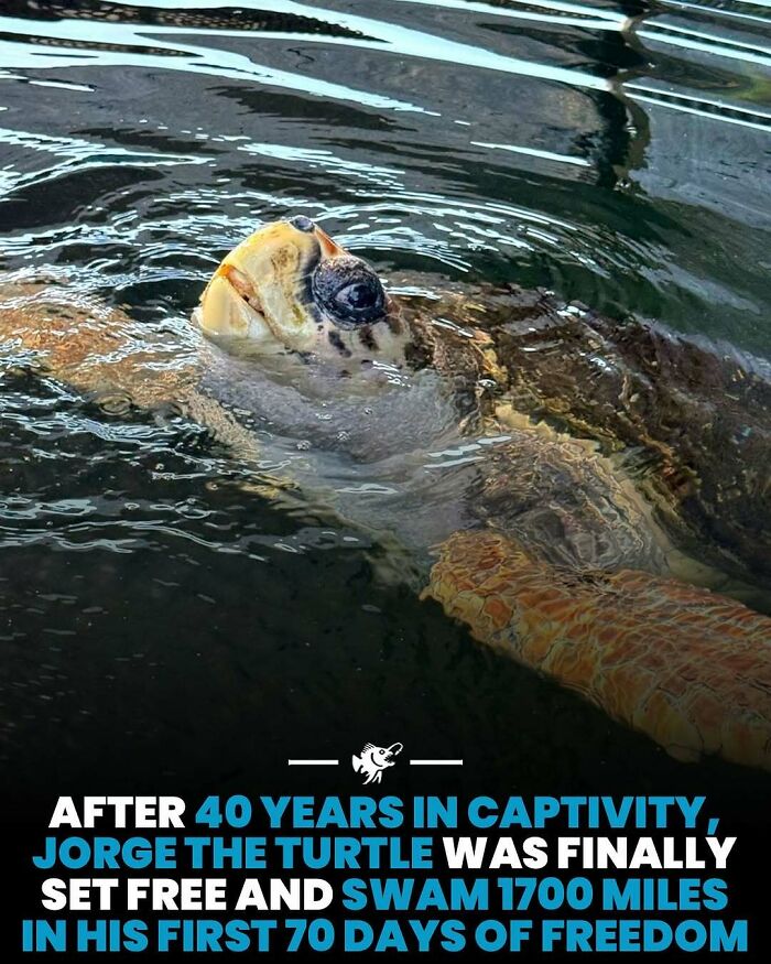 Wait, They Actually Shared These Crazy Ocean Facts?!