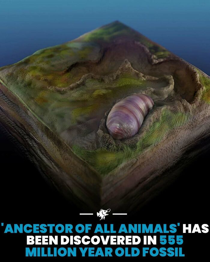 Wait, They Actually Shared These Crazy Ocean Facts?!