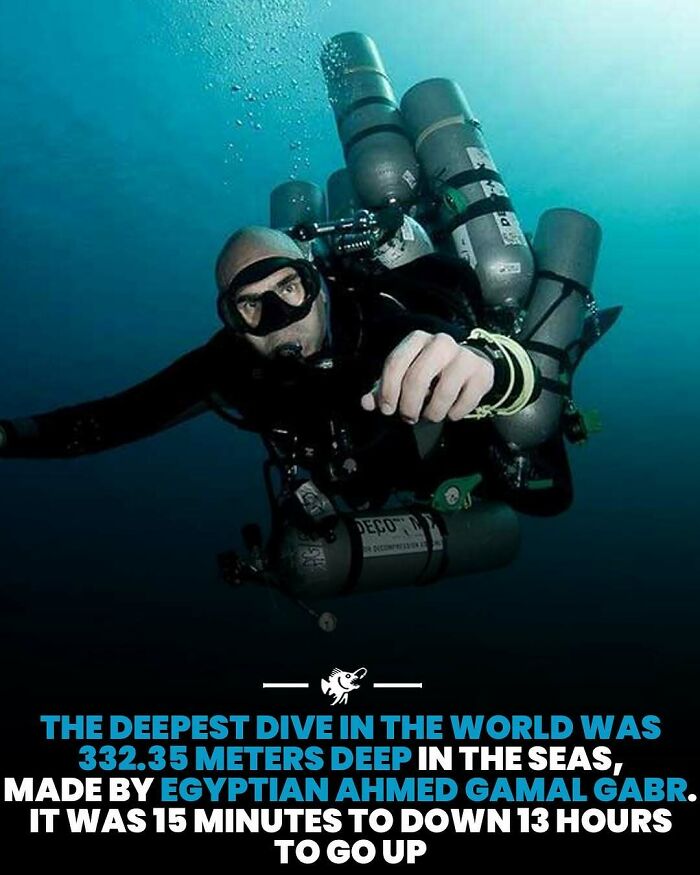 Wait, They Actually Shared These Crazy Ocean Facts?!