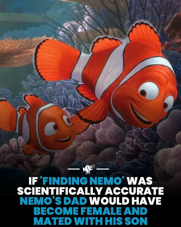 Wait, They Actually Shared These Crazy Ocean Facts?!