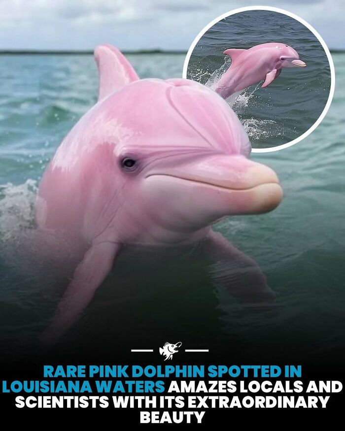 Wait, They Actually Shared These Crazy Ocean Facts?!