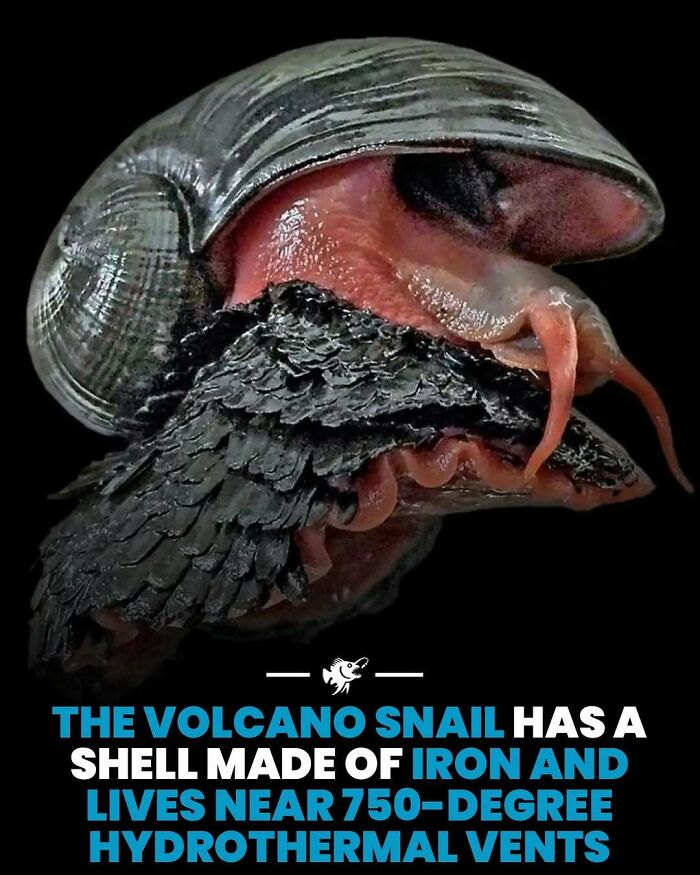 Wait, They Actually Shared These Crazy Ocean Facts?!