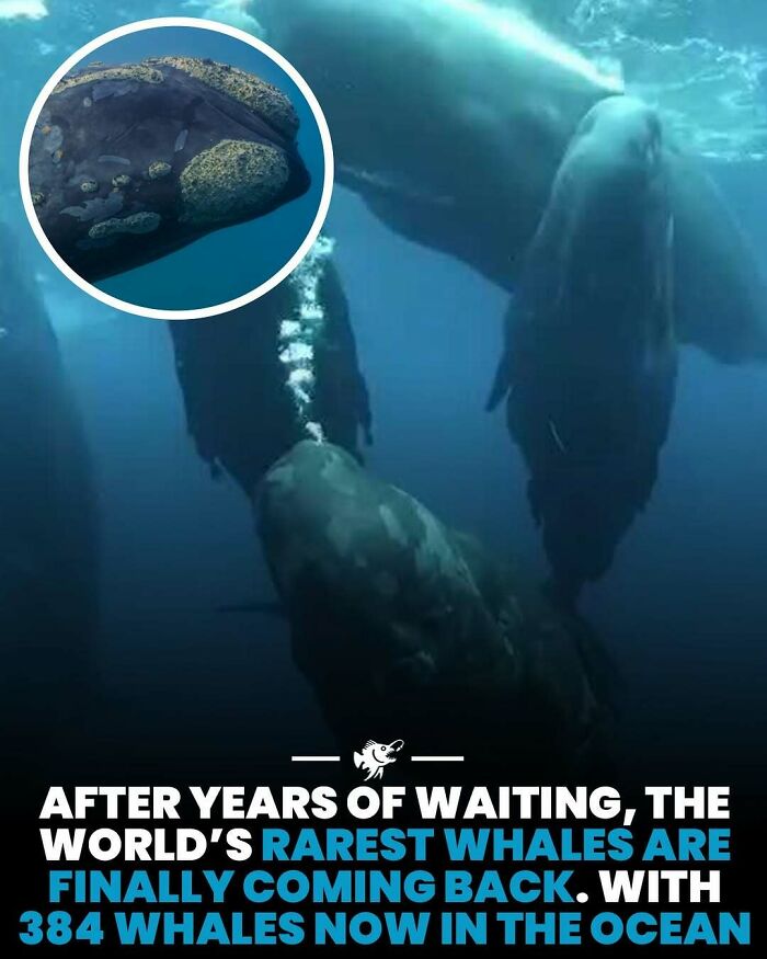 Wait, They Actually Shared These Crazy Ocean Facts?!