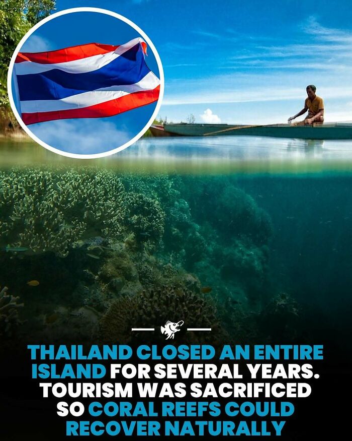 Wait, They Actually Shared These Crazy Ocean Facts?!