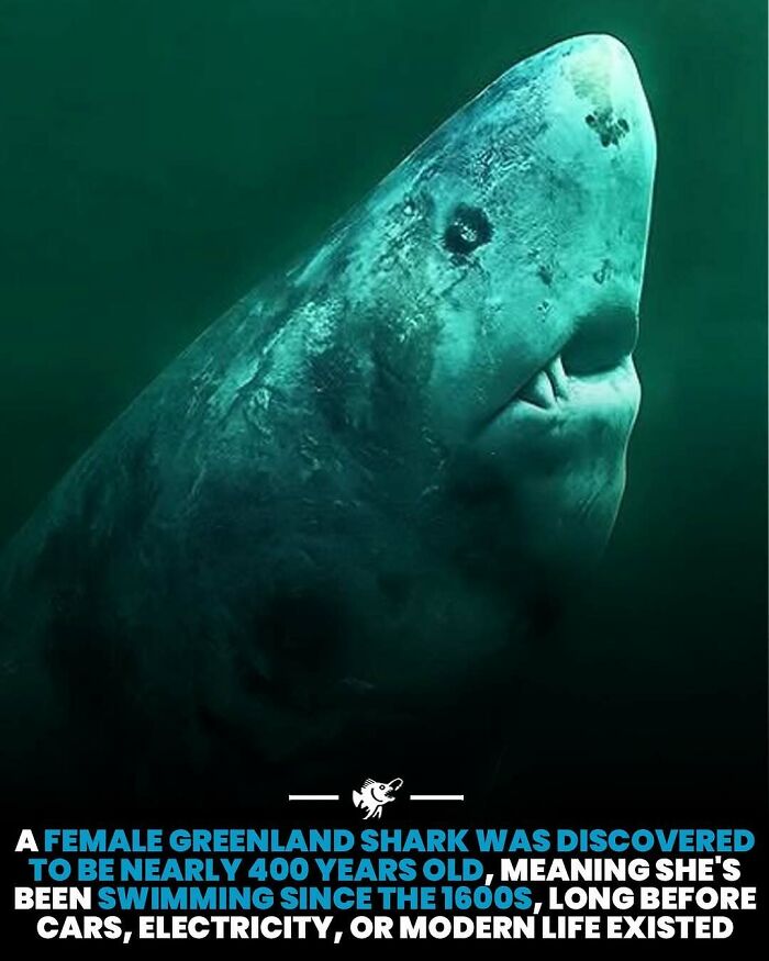 Wait, They Actually Shared These Crazy Ocean Facts?!