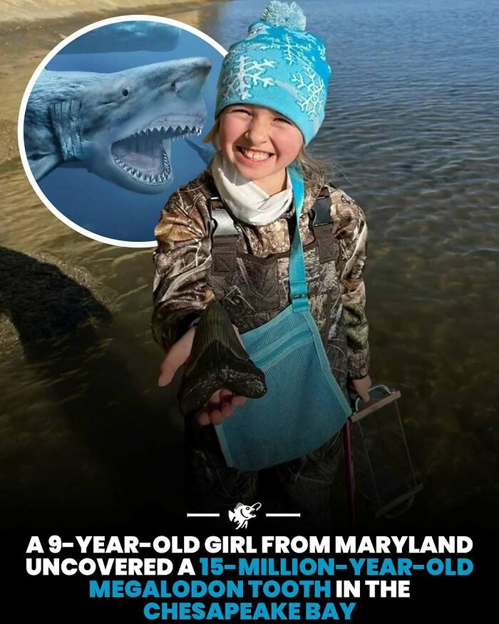 Wait, They Actually Shared These Crazy Ocean Facts?!