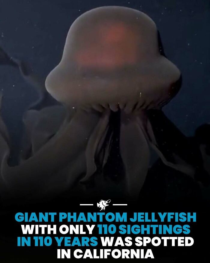 Wait, They Actually Shared These Crazy Ocean Facts?!