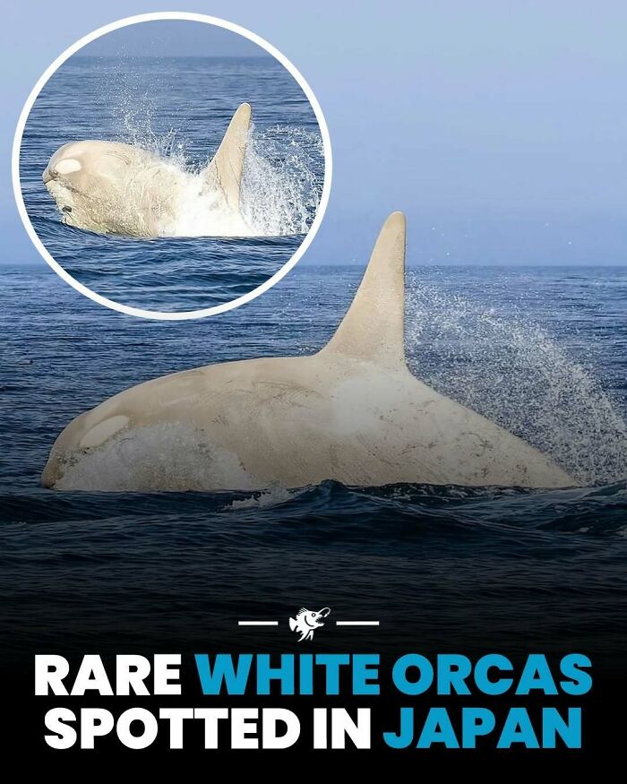 Wait, They Actually Shared These Crazy Ocean Facts?!
