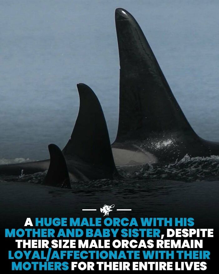 Wait, They Actually Shared These Crazy Ocean Facts?!